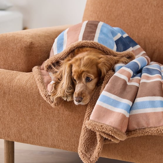 Maisy Pet Blanket Sunlit Stripe