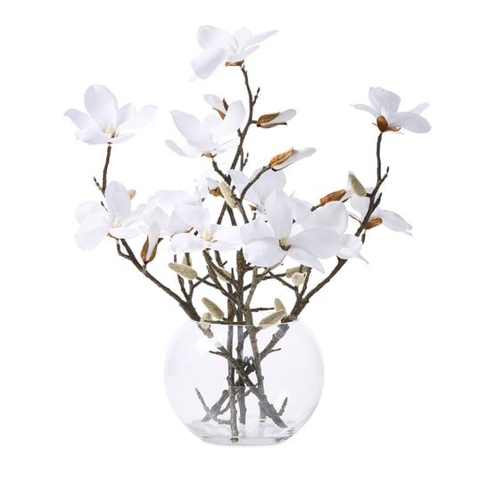 White Magnolia In Vase 
