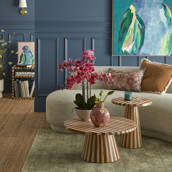 Phalaenopsis Wildberry 6 Stem Orchid